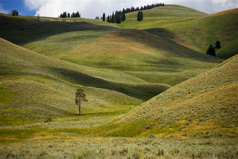 Prairie hills - SD Prairie Hills Chapter of Pheasants Forever, Watertown, South Dakota. 384 likes · 12 talking about this. A grassroots chapter in Codington County, South Dakota of the leading upland wildlife...